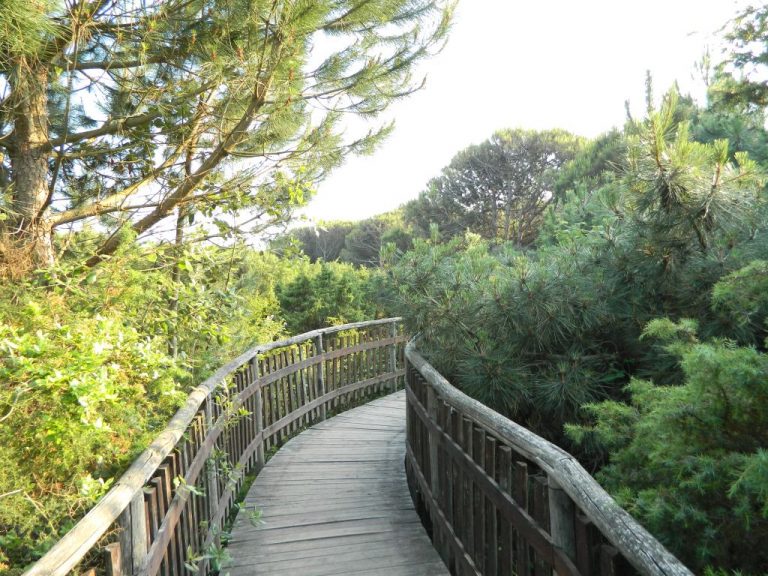 Giardino botanico Porto Caleri