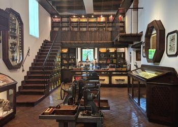 Liquirizia Calabria DOP - Museo Amarelli