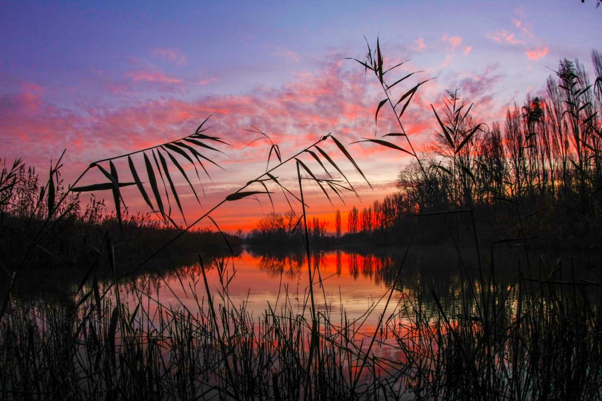 Parco delta del po