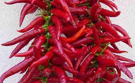 Il Peperoncino Calabrese