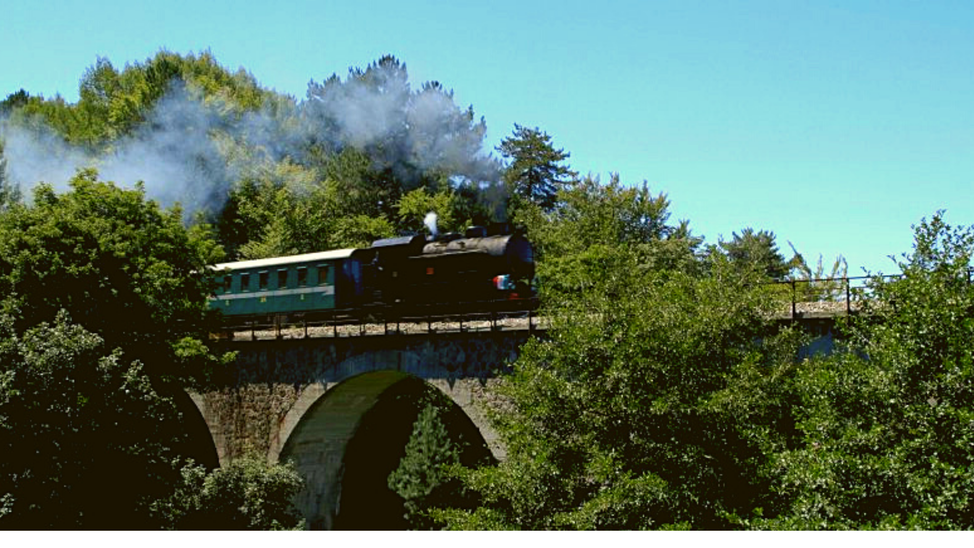 Trenino della Sila: un caratteristico viaggio nel Parco Nazionale 