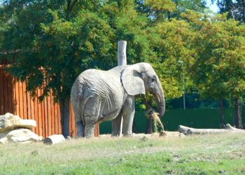 Parchi Emila Romagna - Zoosafari Ravenna