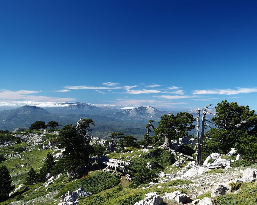 Sentiero Calabria - Parco del Pollino